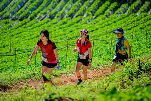 BIB: 1289
                            <button type="button" onclick="openModal(19163327)" class="btn btn-primary btn-sm float-right btn-popup" data-toggle="modal" data-target=".modal-high-quality">
                        <i class="fas fa-shopping-cart"></i> Add to Cart
                    </button>
                                            <button type="button" onclick="isThisMe(19163327, true)" class="btn btn-success btn-sm float-right btn-popup btn-isme hidden" data-toggle="tooltip" data-placement="bottom" title="นี่คือรูปของคุณใช่ไหม คลิกที่นี่เพื่อเอาเข้าอัลบั้ม">
                        <i class="fas fa-plus"></i> Add to album
                    </button>
                    <button type="button" onclick="isThisMe(19163327, false)" class="btn btn-warning btn-sm float-right btn-popup btn-isnotme hidden">
                        <i class="fas fa-ban"></i> Remove from album
                    </button>